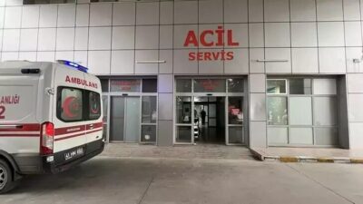 Ardacan UZUN/KÖRFEZ (Kocaeli), – KOCAELİ’nin Körfez ilçesinde 999 kişinin tavuk