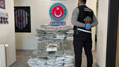 Ticaret Bakanlığı Gümrükler Muhafaza ekipleri, Sarp ve Gürbulak sınır kapılarında