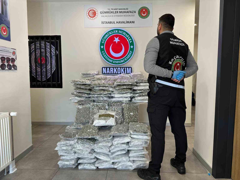Ticaret Bakanlığı Gümrükler Muhafaza ekipleri, Sarp ve Gürbulak sınır kapılarında