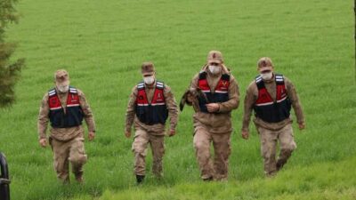 Hatay’ın Samandağ ilçesinde yumurtalarından çıkan ancak yapay ışıklar nedeniyle yönlerini
