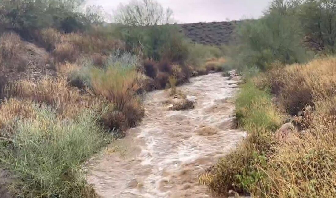ABD, – ABD’nin Arizona eyaletinde şiddetli yağışların neden olduğu selde