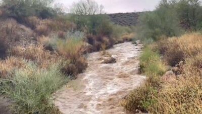 ABD, – ABD’nin Arizona eyaletinde şiddetli yağışların neden olduğu selde