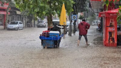 Efendi ERKAYIRAN-Ali KADI/KADİRLİ (Osmaniye), – ADANA ve OSMANİYE’nin yüksek kesimlerinde