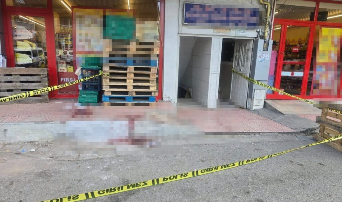 Nursel ŞENGEZER/KARAKOÇAN (Elazığ), – ELAZIĞ’ın Karakoçan ilçesinde A.E.B. (17), tartıştığı