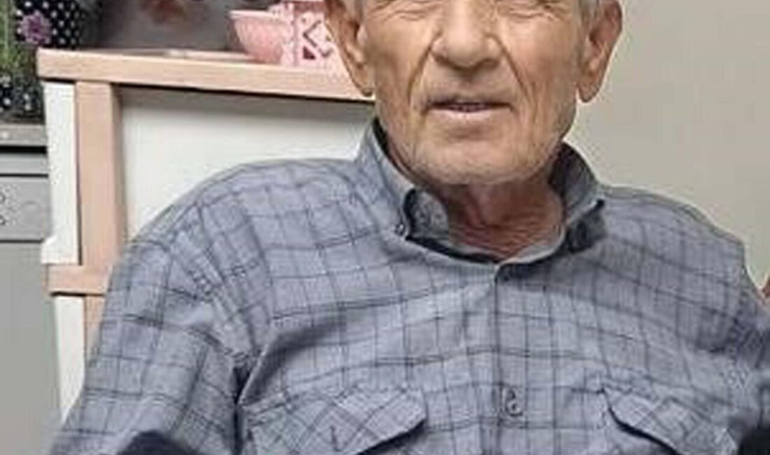 Nurettin DOĞAN/ALAŞEHİR (Manisa) -MANİSA’nın Alaşehir ilçesinde ağaç kesmek isterken elinden