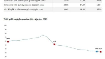 ANKARA, – TÜRKİYE İstatistik Kurumu (TÜİK), ağustos ayında tüketici enflasyonunun
