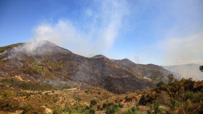 24 SAATTE 21 YANGIN Antalya’nın Alanya ilçesi Aliefendi, Kargıcak ve