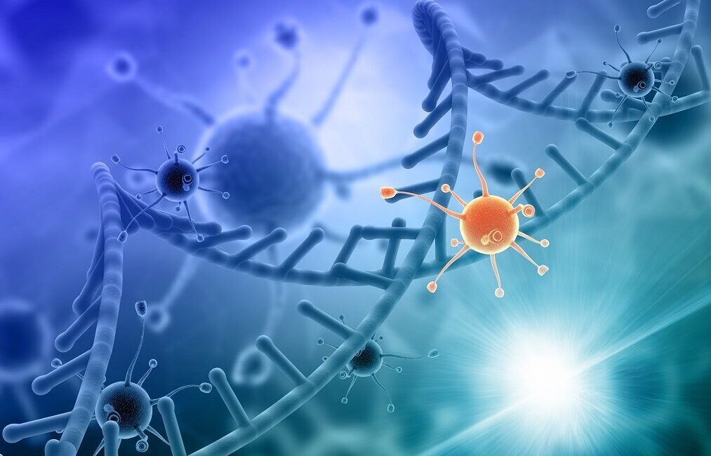 İSTANBUL, – ALTINBAŞ Üniversitesi, Implementation Network Europe for Cancer Survivorship
