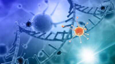 İSTANBUL, – ALTINBAŞ Üniversitesi, Implementation Network Europe for Cancer Survivorship