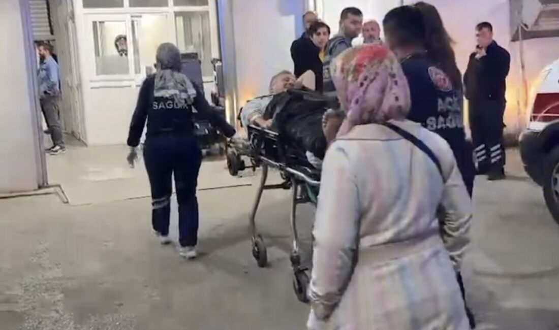 Ayhan ACAR/AMASRA (Bartın), – BARTIN’ın Amasra ilçesinde bir kafede çıkan