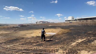 Mehmetcan ARSLAN/ÇORLU (Tekirdağ), – TEKİRDAĞ’ın Çorlu ilçesinde çıkan anız yangını,