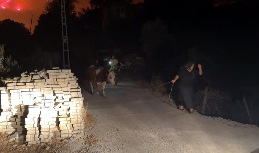 YERLEŞİM YERLERİ TAHLİYE EDİLDİ; BAZI YERLER YANDI Antalya’nın Alanya ilçesindeki