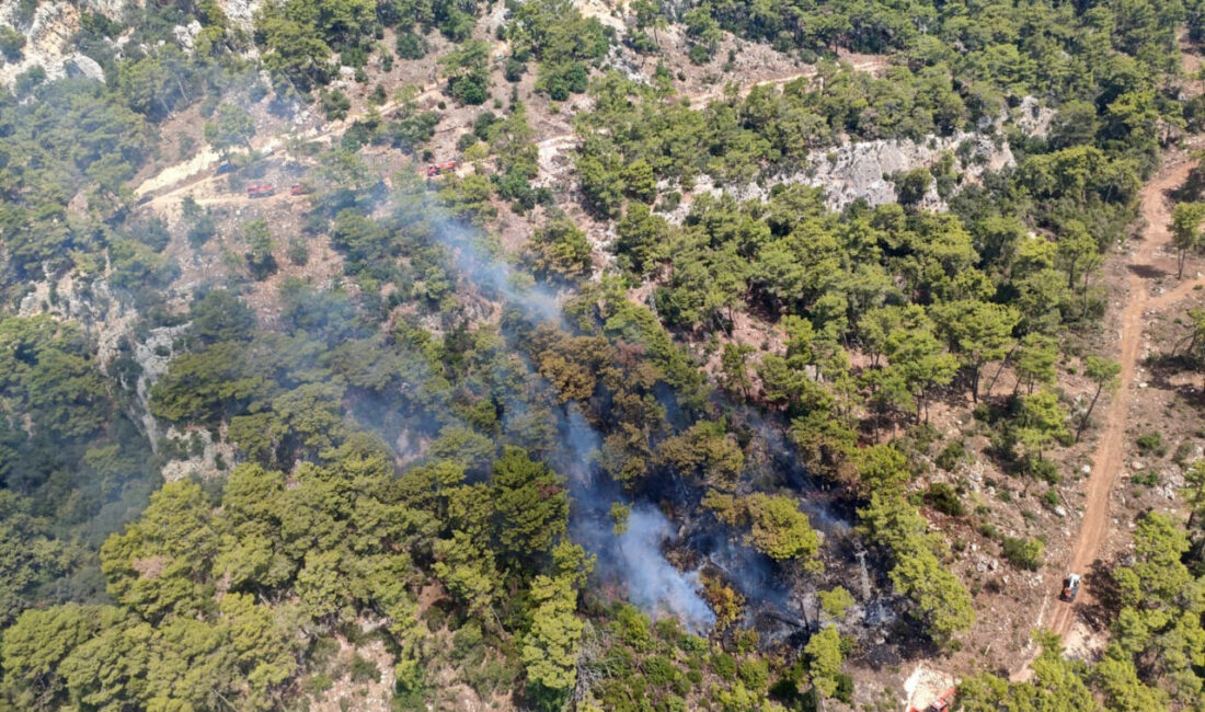 KONTROL ALTINA ALINDI Antalya’nın Kemer ilçesinde çıkan orman yangını, ekiplerin