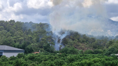 Levent YENİGÜN/KEMER (Antalya), – ANTALYA’nın Kemer ilçesinde orman yangını çıktı.
