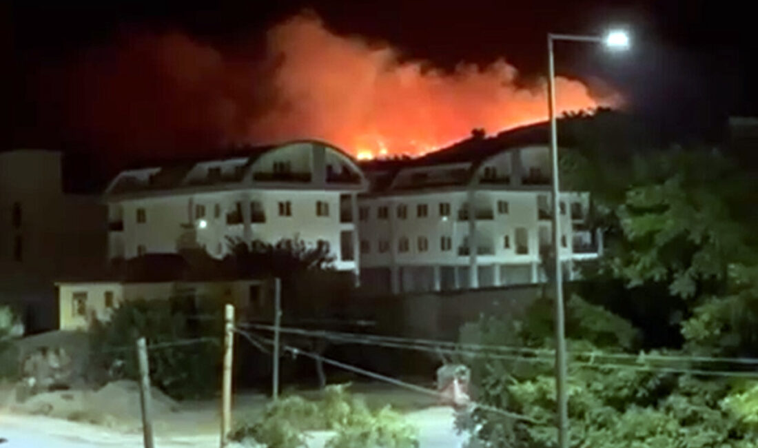 Alkın BİRİCİK/ ALANYA (Antalya), – ANTALYA’nın Alanya ilçesinde orman yangını