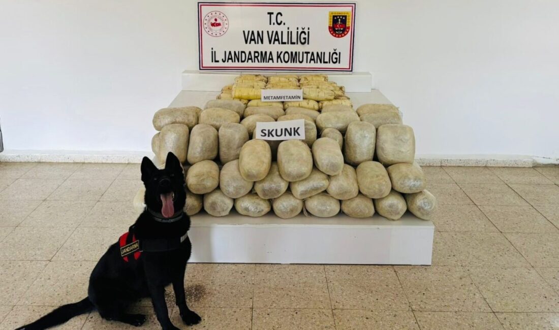 Behçet DALMAZ/VAN, – VAN’ın Başkale ilçesi kırsalında jandarma ekipleri tarafından