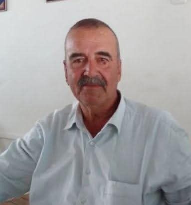 Burhan CEYHAN/ AYDIN, – AYDIN’ın Koçarlı ilçesinde arı sokması sonucu