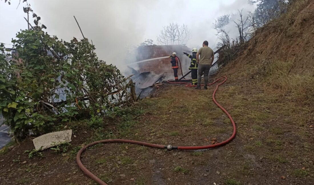 Ziya AKYILDIZ/BORÇKA (Artvin), – ARTVİN’in Borçka ilçesinde beton ahşap karışımlı
