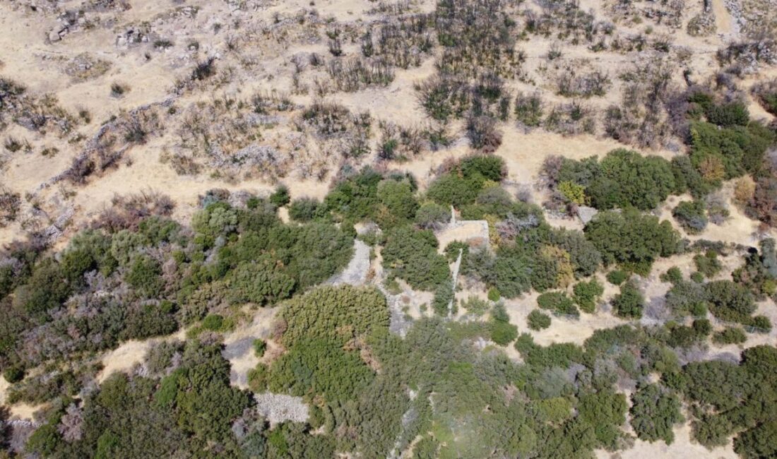 Nazif Cemhan ŞEN-İpek YAVAŞ/AYVACIK (Çanakkale), – ÇANAKKALE’nin Ayvacık ilçesindeki en