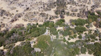 Nazif Cemhan ŞEN-İpek YAVAŞ/AYVACIK (Çanakkale), – ÇANAKKALE’nin Ayvacık ilçesindeki en