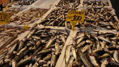 Efnan DEMİREREN/TRABZON, – KARADENİZ’de av yasağının sona ermesiyle tezgahlarda balık