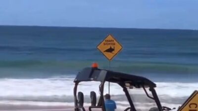 AVUSTRALYA, – AVUSTRALYA’da büyük bir köpek balığının saldırısına uğrayan sörfçünün