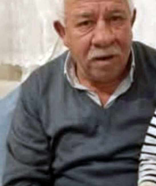 Olgay GÜLER/EDİRNE, – EDİRNE’nin Uzunköprü ilçesinde, ayçiçeği hasadı sırasında biçerdöverin