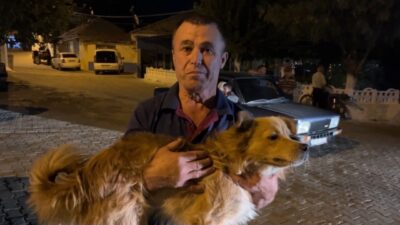 MAMA VERDİĞİ KÖPEĞİN HAVLAMASI SONUCU 20 SAAT SONRA BULUNDU Aydın’ın