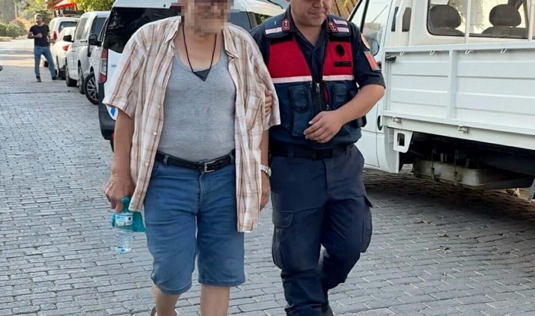 Melek FIRAT/ AYDIN, – AYDIN’ın Efeler ilçesinde, jandarma ekipleri tarafından