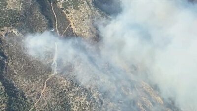 ALEVLER ORMANA SIÇRADI Aydın’ın Söke ilçesinde saat 16.00 sıralarında çıkan