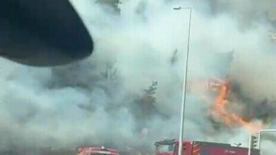 Melek FIRAT/AYDIN, – AYDIN’ın Söke ilçesindeki makilik alanda yangın çıktı.