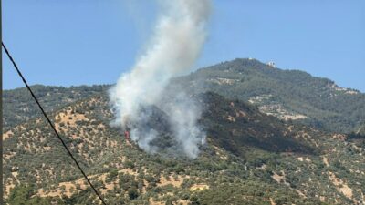 Melek FIRAT/AYDIN, – AYDIN’da zeytin ağaçlarıyla kaplı tarım arazisinde yangın