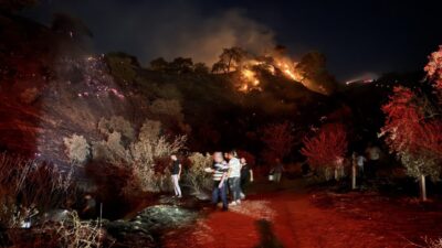 KONTROL ALTINA ALINDI Aydın’ın Efeler ilçesi Pınardere Mahallesi’ndeki zeytinlik yangını,