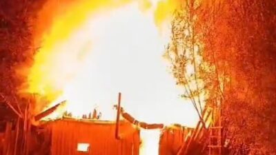 Şerife Serap KARA/ SULUOVA(Amasya), – AMASYA’nın Suluova ilçesinde bir bağ