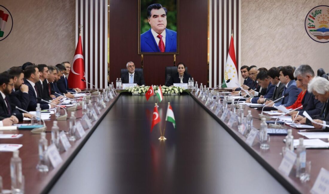 TACİKİSTAN, – ÇALIŞMA ve Sosyal Güvenlik Bakanı Prof. Dr. Vedat