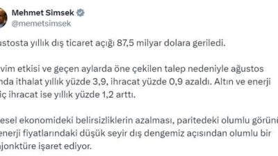 ANKARA, – HAZİNE ve Maliye Bakanı Mehmet Şimşek, ağustos ayı