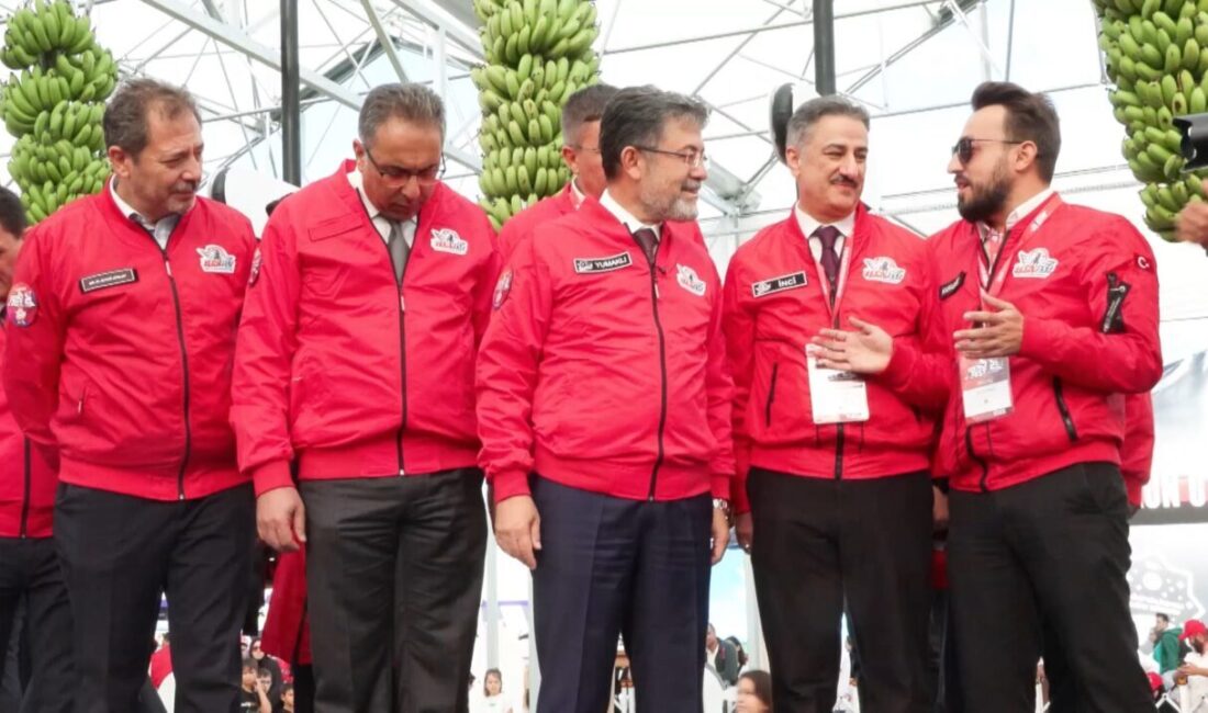 Canan İLARSLAN – Hadican EROL / İSTANBUL, – Tarım ve