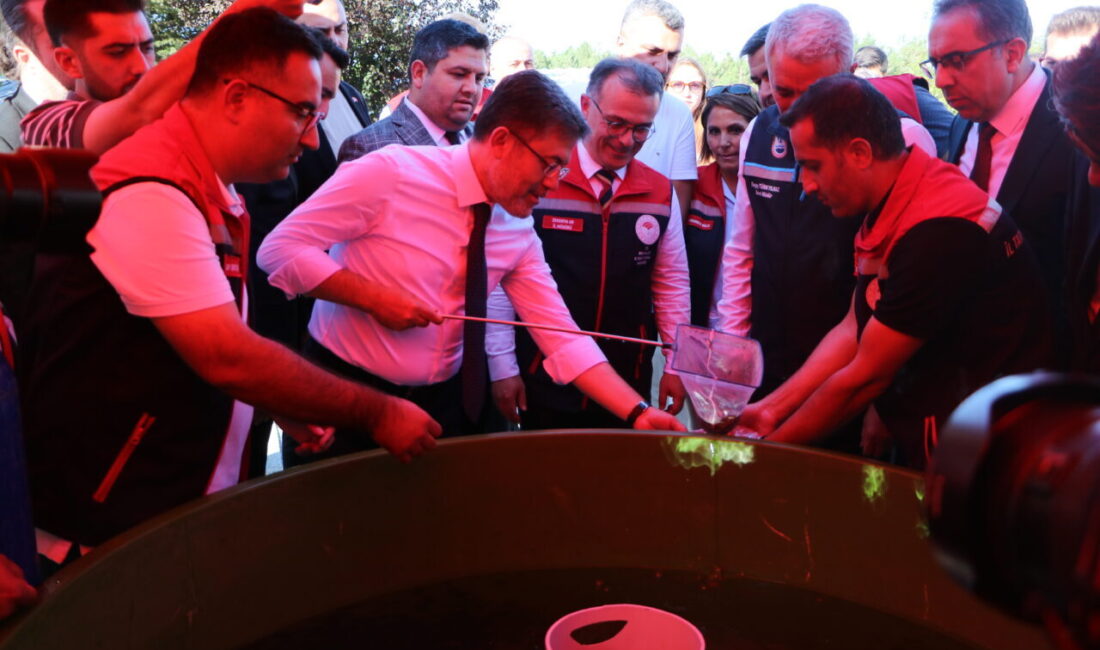 BAKAN YUMAKLI HAVUZDAN BALIKLARI POŞETE DOLDURUP AHUDUDU TOPLADI Tarım ve