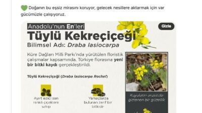 Mikail KARAMAN/ANKARA, – TARIM ve Orman Bakanı İbrahim Yumaklı, Küre