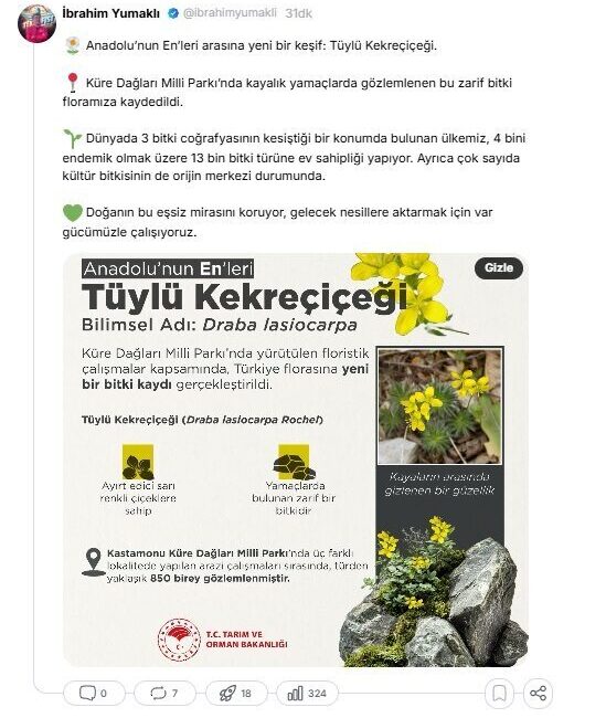 Mikail KARAMAN/ANKARA, – TARIM ve Orman Bakanı İbrahim Yumaklı, Küre
