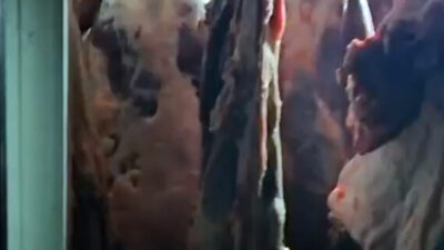 ANKARA, – TARIM ve Orman Bakanlığı, Kayseri’nin Melikgazi ilçesinde bir