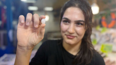 Tolga YILDIRIM/ANTALYA, – AV yasağının sona ermesiyle tezgahlarda çeşitliliği artan