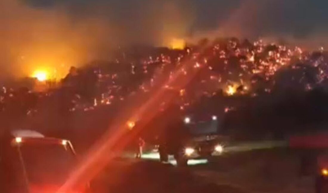 Ramazan FİLİZ/ DURSUNBEY (Balıkesir), – BALIKESİR’in Dursunbey ilçesinde çıkan orman