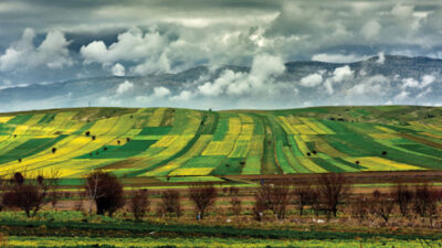 Türkiye’de tarımsal üretimi artırmak ve atıl duran toprakları ekonomiye kazandırmak