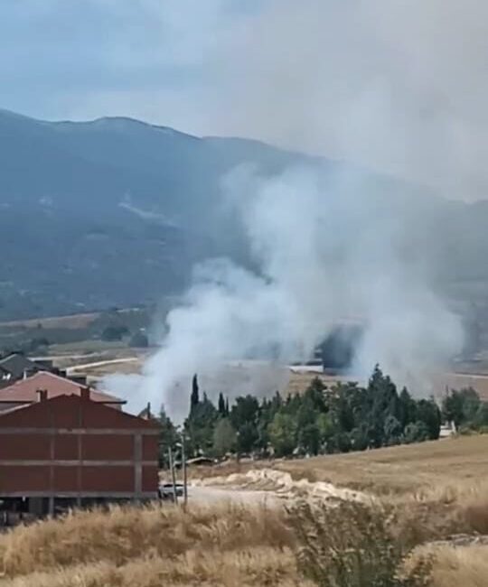 Yavuz YILMAZ/İNEGÖL (Bursa), -BURSA’nın İnegöl ilçesinde yerleşim yerlerine yakın bir