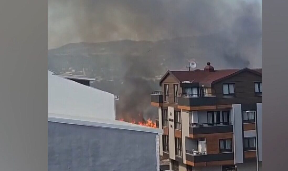 Hüseyin SEZGİN- Yiğithan HÜYÜK/ BURSA, – BURSA’nın Osmangazi ilçesinde çıkan