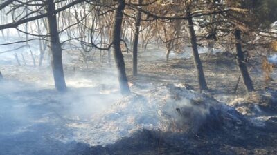 KONTROL ALTINDA Mudanya ilçesi otluk alanda çıkan yangın, ekiplerin havadan