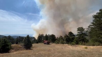 Osman SAK/ORHANELİ, (Bursa), – BURSA’da, Orhaneli ve Keles ilçeleri arasındaki