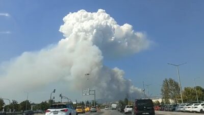 Mehmet İNAN/BURSA, – BURSA’nın Osmangazi ilçesinde orman yangını çıktı. Bölgeye