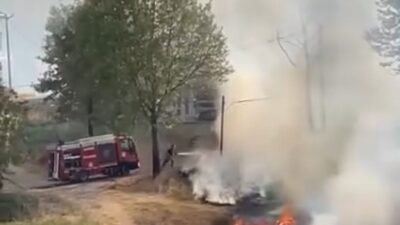 Yavuz YILMAZ/ İNEGÖL (Bursa), – BURSA’nın İnegöl ilçesinde çıkan ot